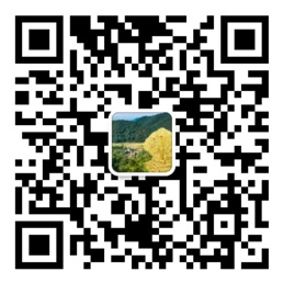 网信彩票-购彩大厅